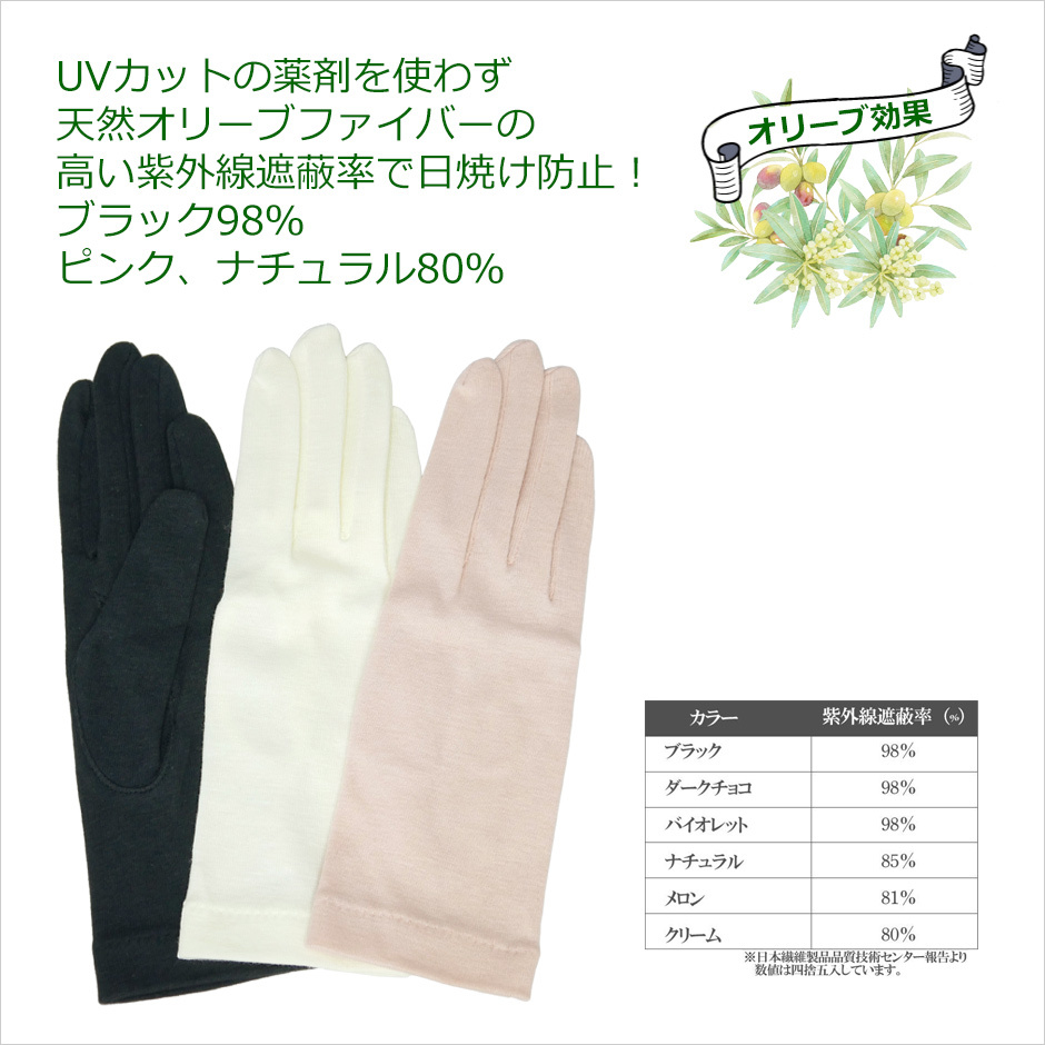 オリーブの恵　手袋　オリーブファイバー　レディース　手袋　布　コットン