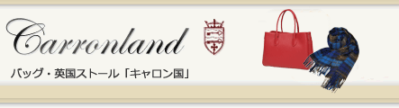 トスカーニ(TOSCANI)のバッグの通販 －キャロン国本店－