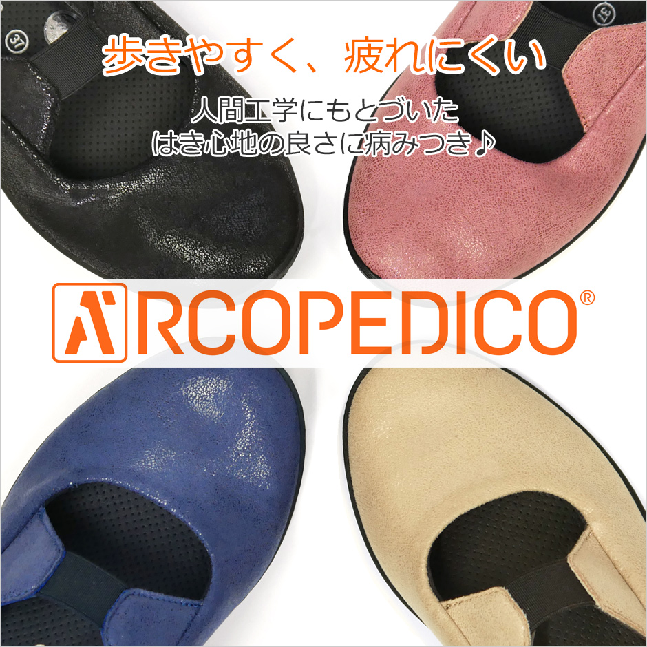 yARCOPEDICO(ARyfBR)zoGV[Y o[iNX2@C摜